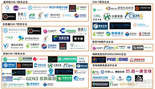 累計(jì)融資超70億元 國(guó)內(nèi)細(xì)胞免疫治療企業(yè)全圖譜與貿(mào)易代理新機(jī)遇